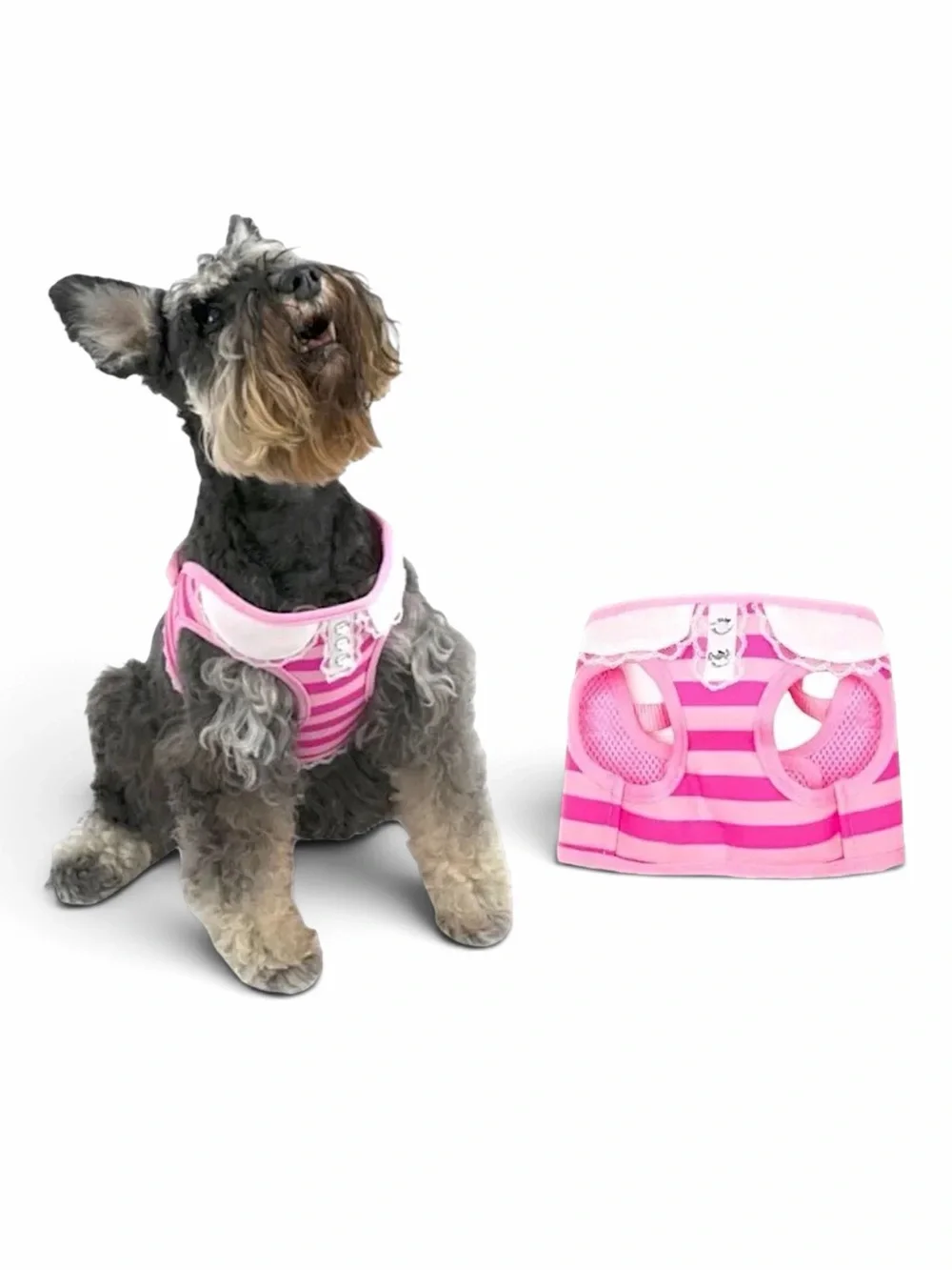 Vibrant Life Pink Stripe Dog Harness